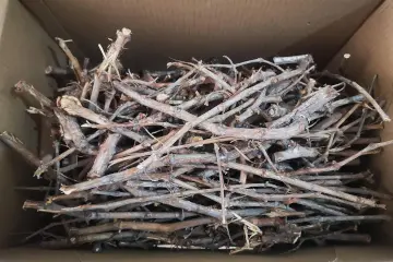 Leña de sarmiento natural - tadiwood