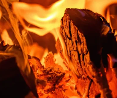 ¿Qué es el poder calorífico de la leña?