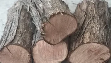 ¿Qué es la densidad de la leña?