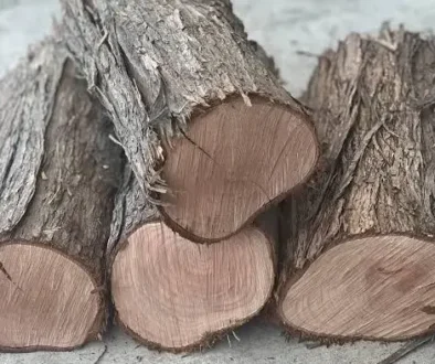¿Qué es la densidad de la leña?